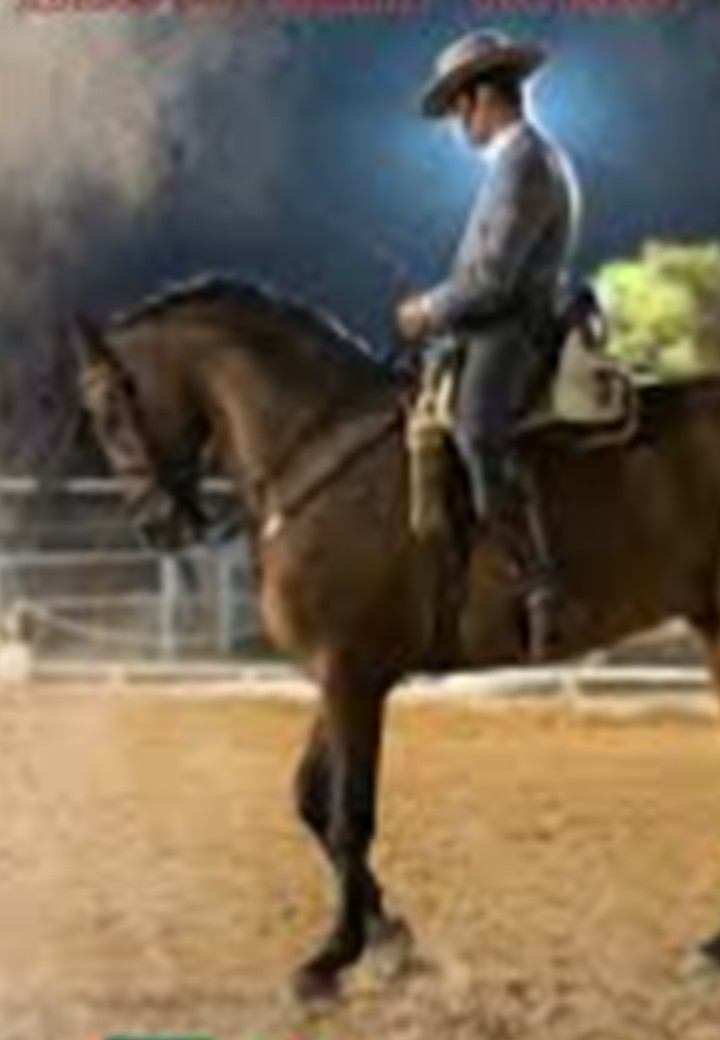 CABALLOS