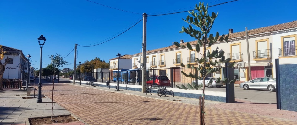 1.-8 NUEVOS ALGARROBOS EN EL PARQUE BLAS INFANTE