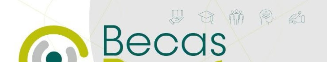 BECAS RESET DE LA DIPUTACIÓN DE SEVILLA