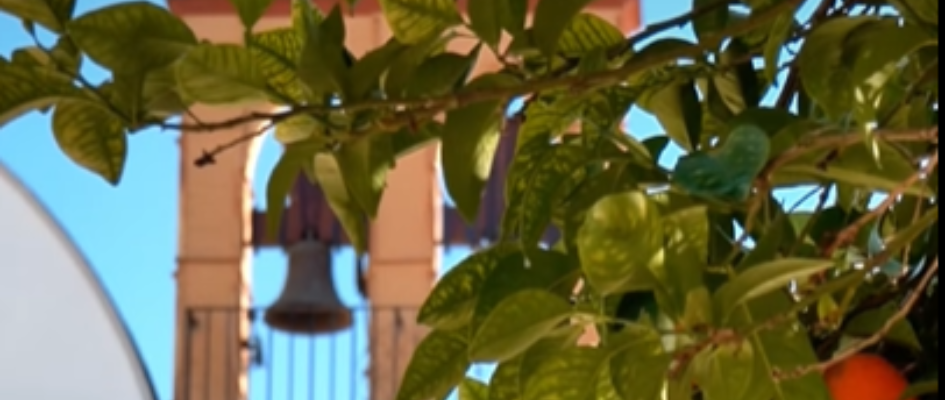 1.-Captura de pantalla 2026-01-02 101301