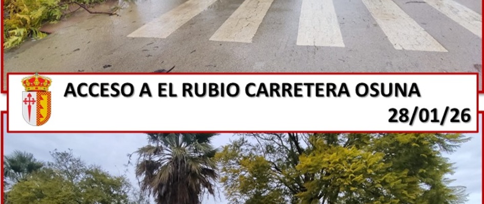 1.-LAS FUERTES RACHAS DE VIENTO AFECTAN A EL RUBIO