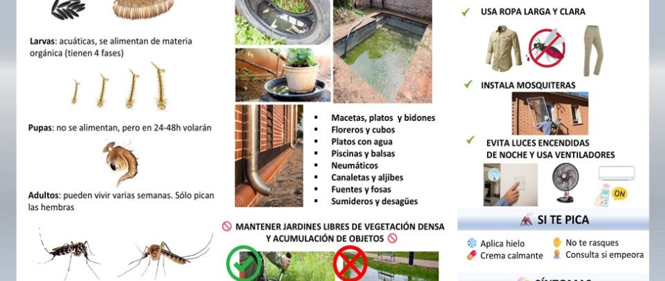 1.-PLAN MUNICIPAL DE VIGILANCIA Y CONTROL DE VECTORES (VIRUS DEL NILO)