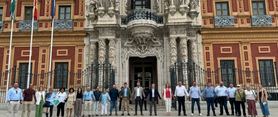 1.-Situación sanitaria en la que se encuentre el Área Sanitaria de Osuna.