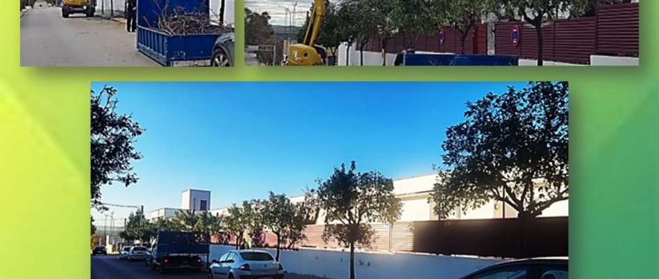 1.-TERCIADO, PODA Y LIMPIEZA DE ÁRBOLES