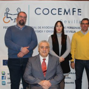 2.-Día de la Discapacidad organizado por COCEMFE Sevilla