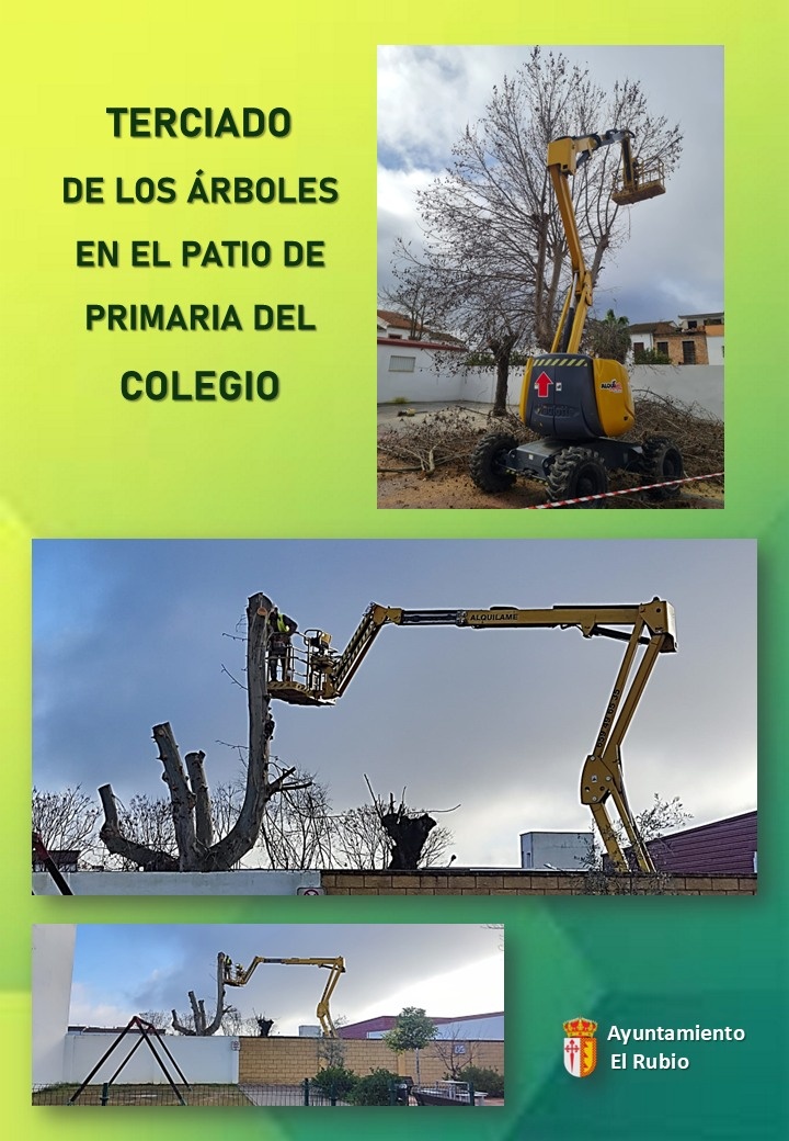 2.-TERCIADO, PODA Y LIMPIEZA DE ÁRBOLES