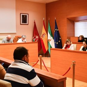 3.-Situación sanitaria en la que se encuentre el Área Sanitaria de Osuna.