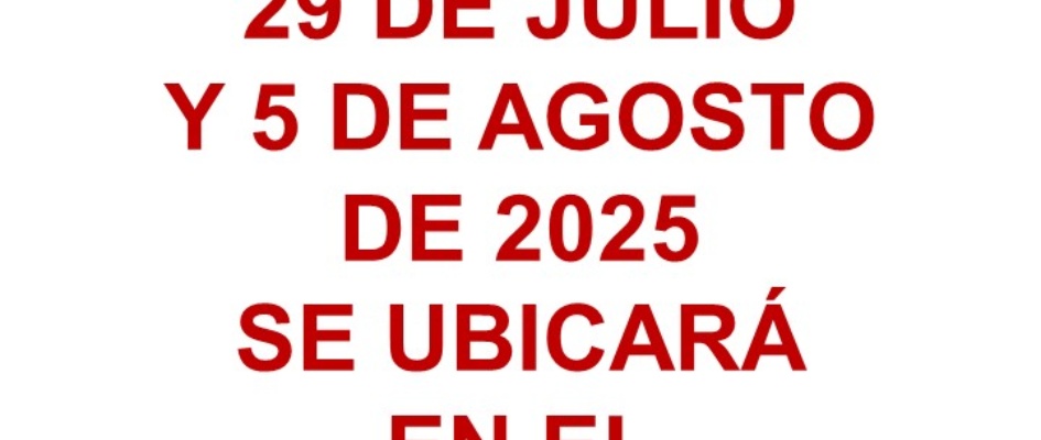 41.-MERCADILLO 2025
