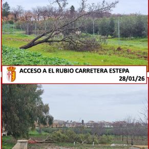 7.-LAS FUERTES RACHAS DE VIENTO AFECTAN A EL RUBIO