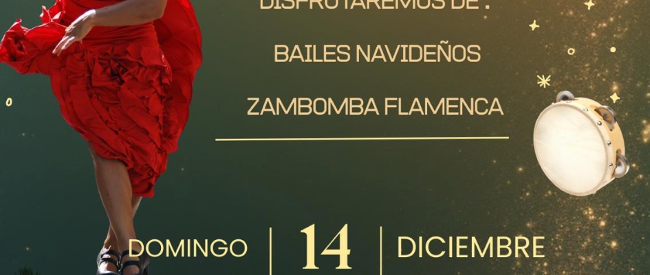 ACTUACIÓN NAVIDEÑA DE LA ESCUELA FLAMENCA AIRES RUBEÑOS