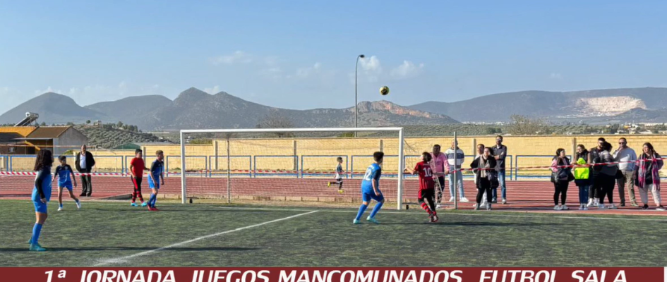 Captura de pantalla 2024-11-19 143843