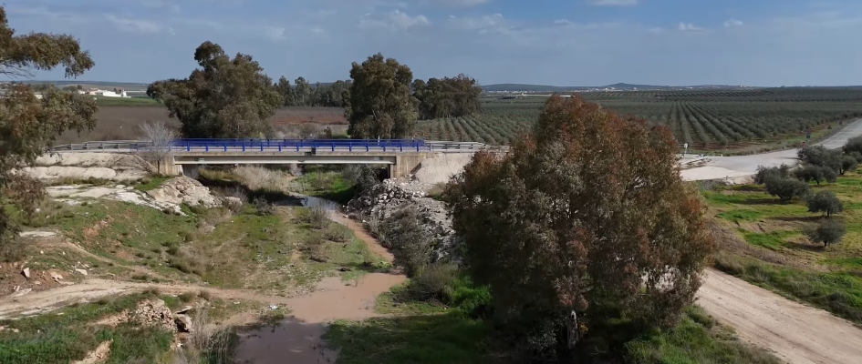 Captura de pantalla 2025-03-05 122444