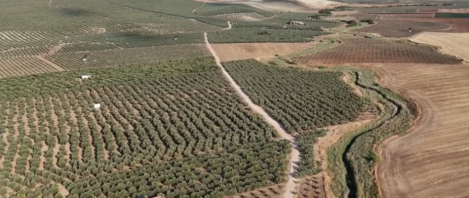 Captura de pantalla 2025-06-05 111705