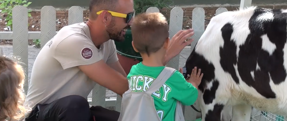 Captura de pantalla 2025-06-16 144604