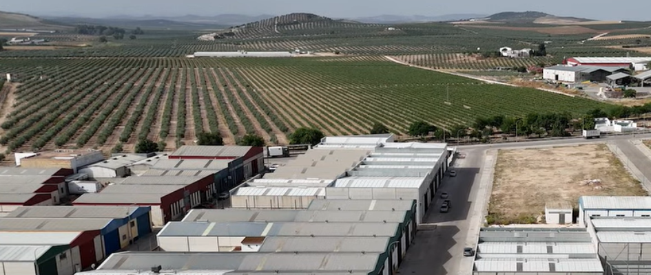 Captura de pantalla 2025-06-17 140800