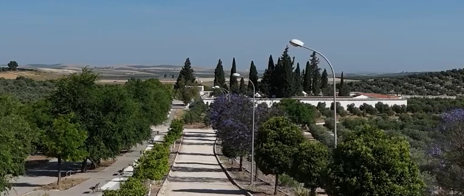 Captura de pantalla 2025-07-17 084813