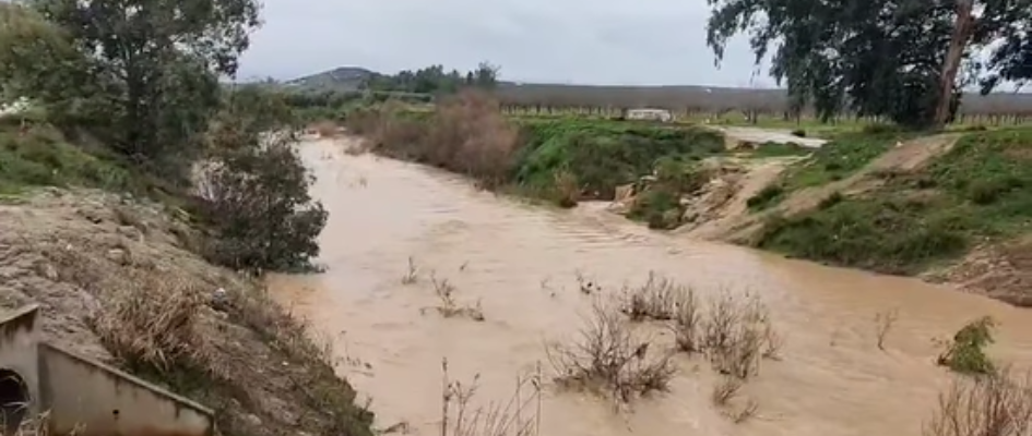 Captura de pantalla 2026-01-29 081826