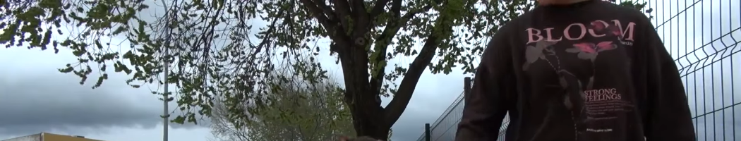 Parque Canino en EL Rubio