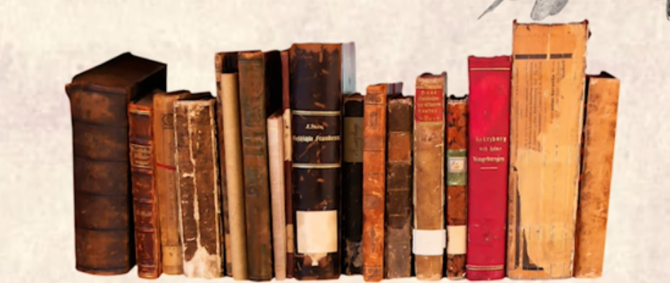 Captura de pantalla 2026-04-14 125824