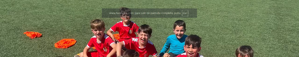 FASE FINAL ESCUELA MUNICIPAL DE FUTBOL DE EL RUBIO