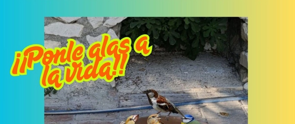 El Grupo Ornitológico Zamalla