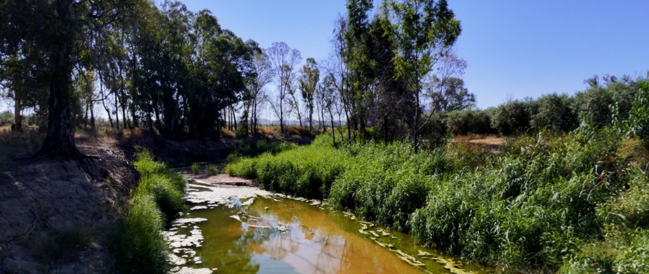 Río Blanco, Identidad Rubeña