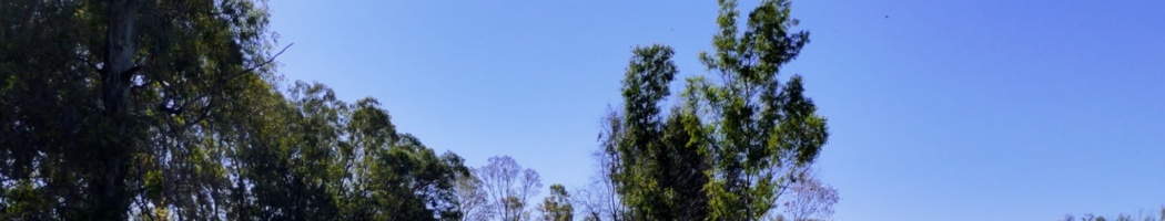 Río Blanco, Identidad Rubeña